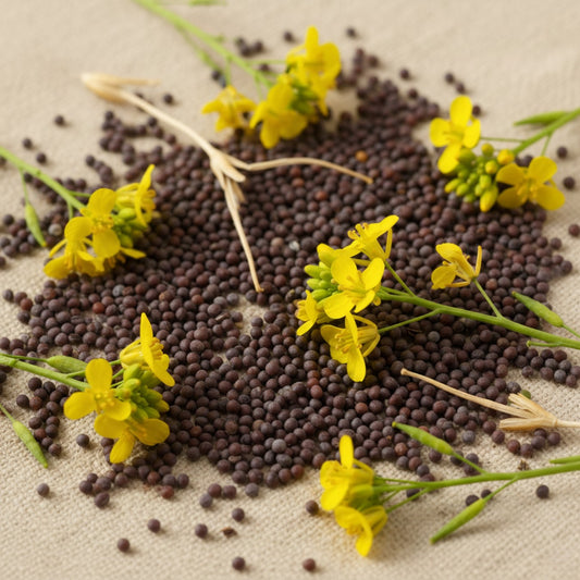 Cold Pressed Mustard Oil