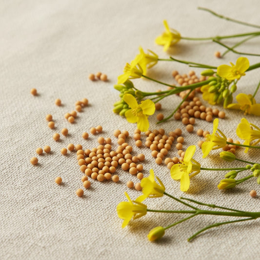 Cold Pressed Yellow Mustard Oil