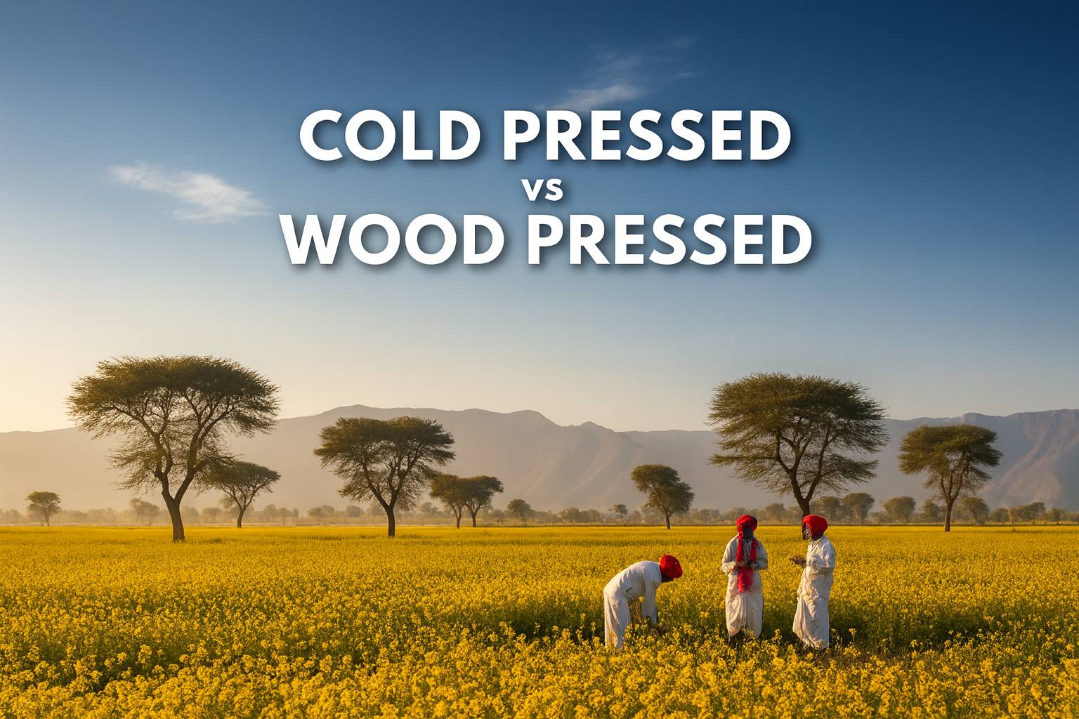 Cold Pressed vs Wood Pressed Oils: The Complete Guide to Choosing the Healthiest Cooking Oil in 2025